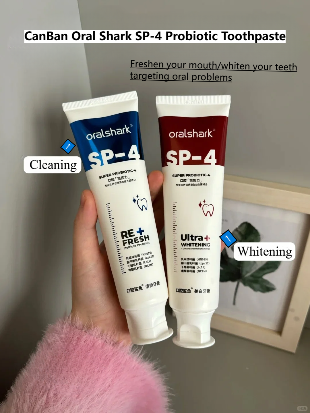 CanBan Oral Shark SP-4 Probiotic Toothpaste 120g 参半口腔鲨鱼SP-4益生菌牙膏