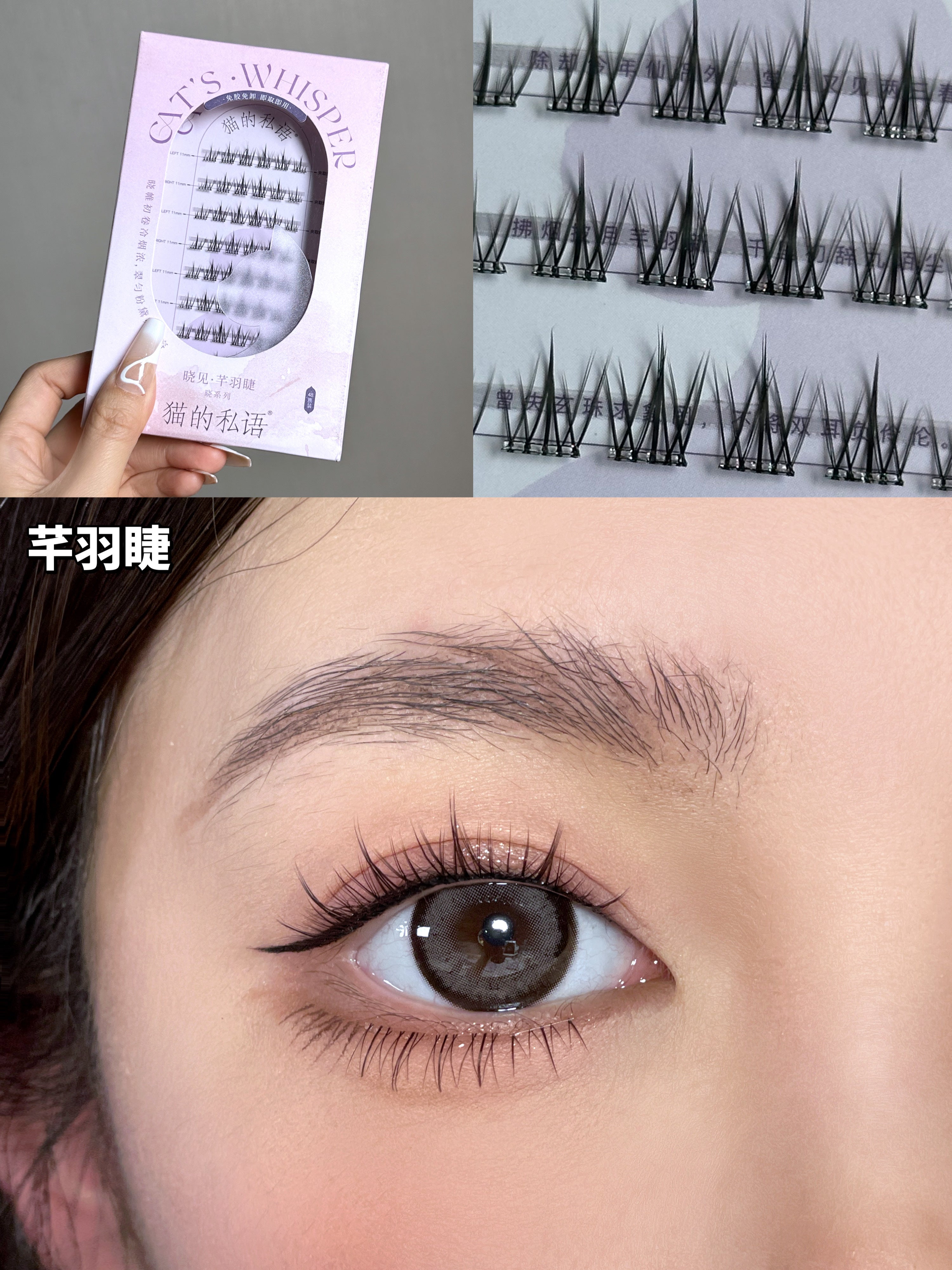 Cat's Whisper Glue-Free False Eyelashes 猫的私语免胶分段假睫毛