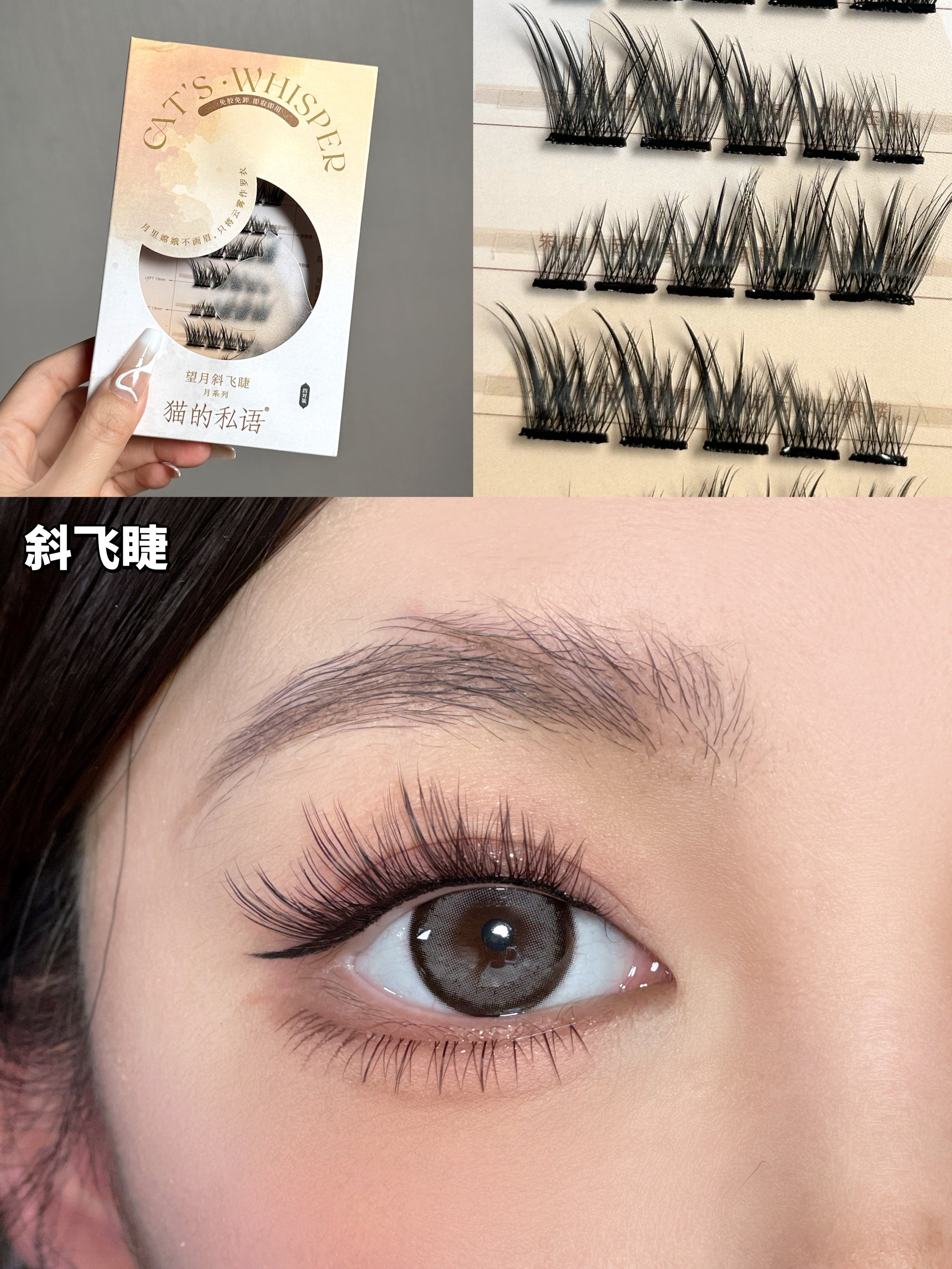 Cat's Whisper Glue-Free False Eyelashes 猫的私语免胶分段假睫毛