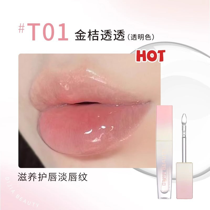 DIJIA Moisturising and Nourishing Lip Oil Hydrating Mirror Lip Glaze 3ml 缔葭保湿滋润唇油水光镜面唇釉