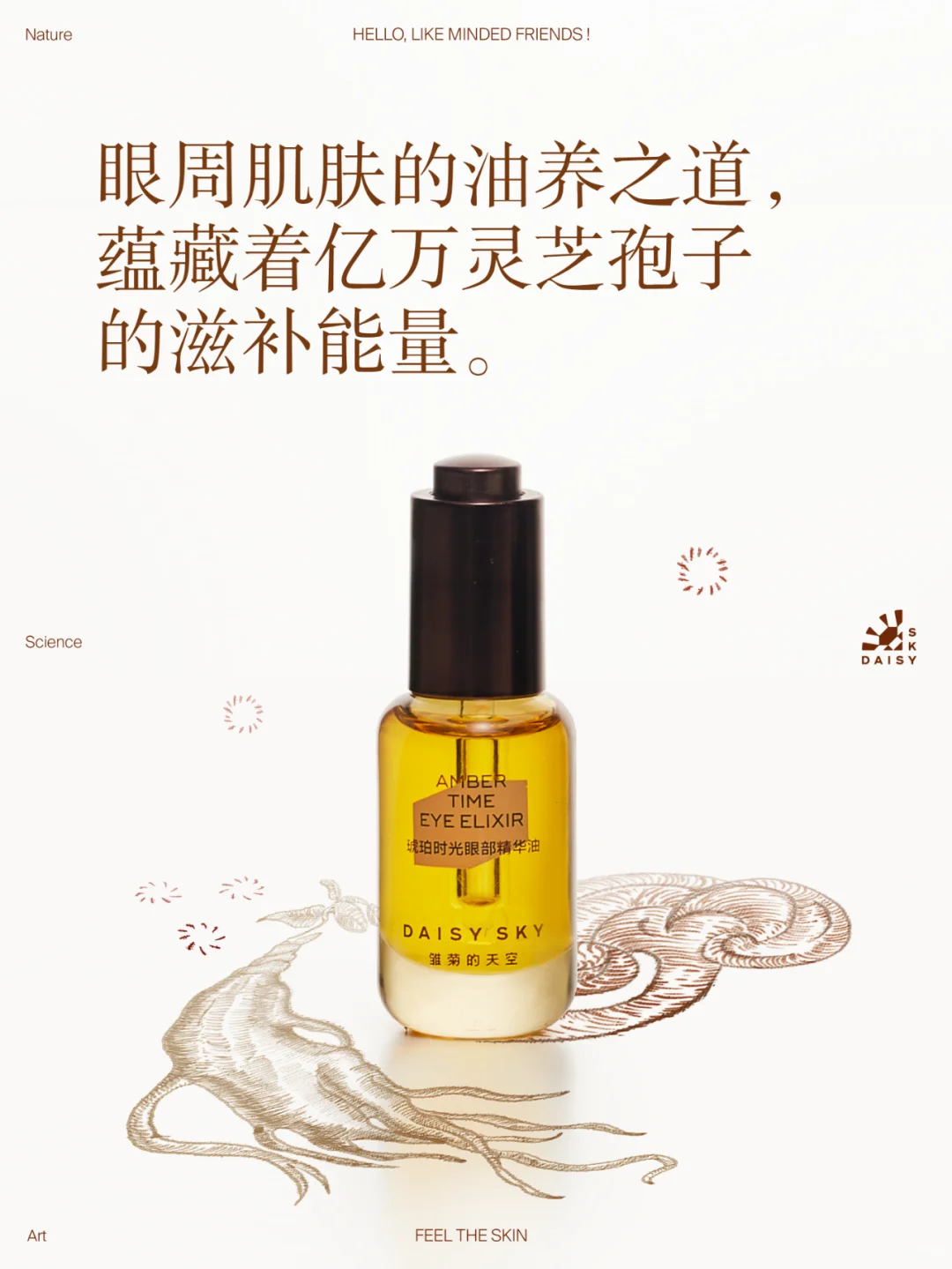 Tiktok/Douyin Hot Daisy Sky Amber Time Eye Elixir 8ml 【Tiktok抖音爆款】雏菊的天空琥珀时光眼部精华油