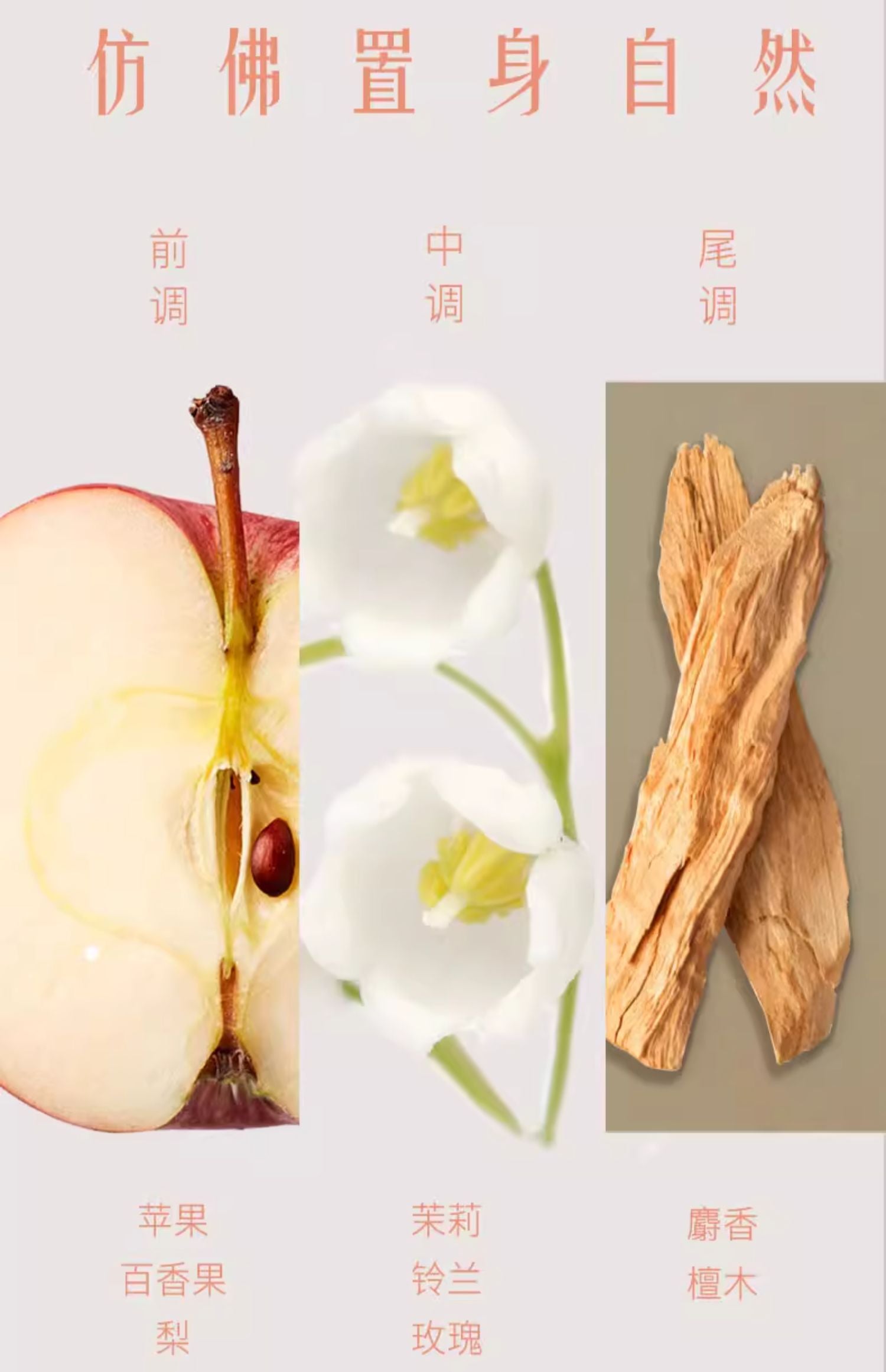 Hair Recipe Apple & Ginger Nourishing Repair Shampoo / Conditioner 530ml 发之食谱苹果生姜滋养修复洗发露/护发素