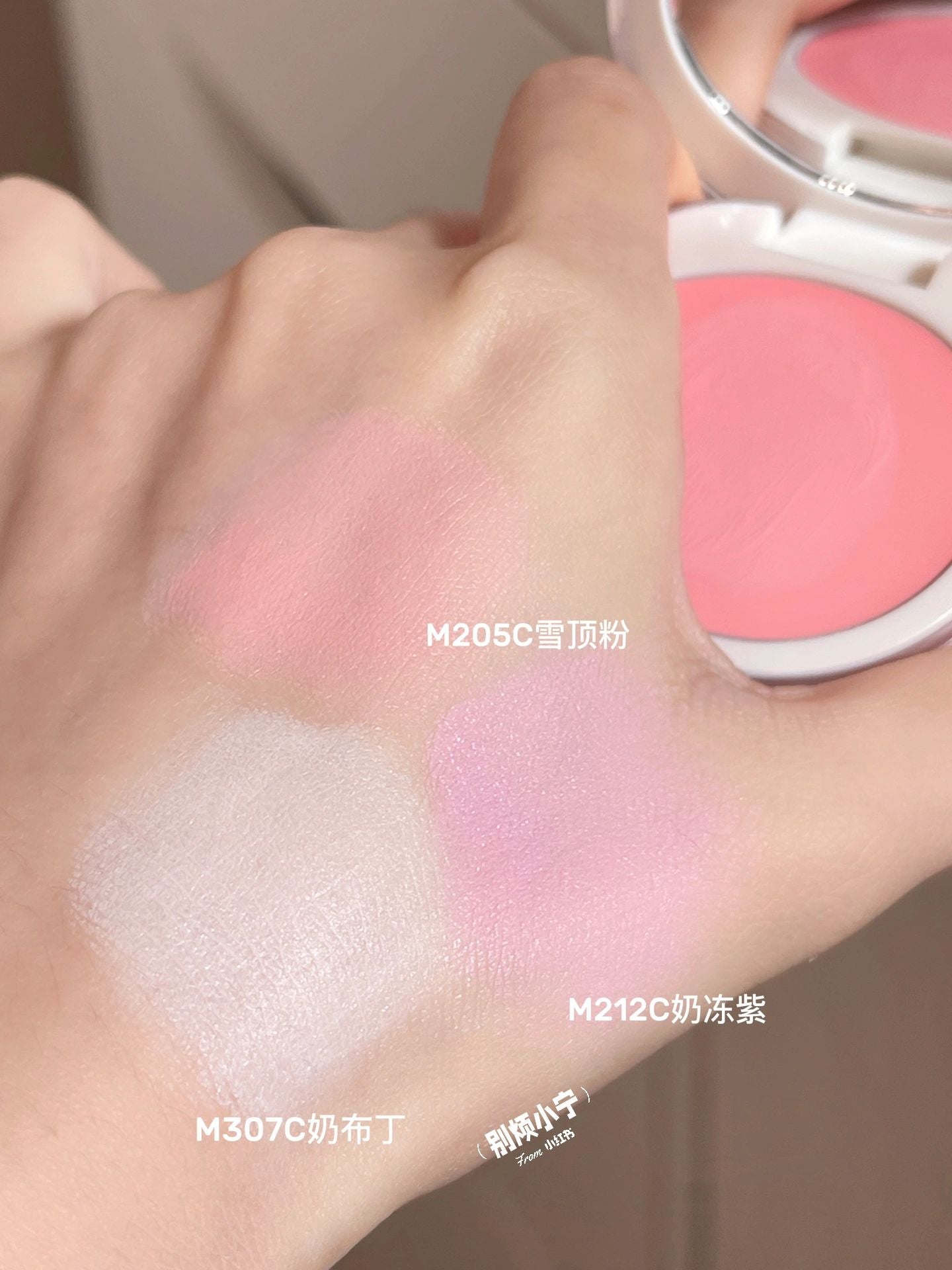 JOOCYEE Day Dreamer Series Blusher 4.5g 酵色梦中人系列腮红