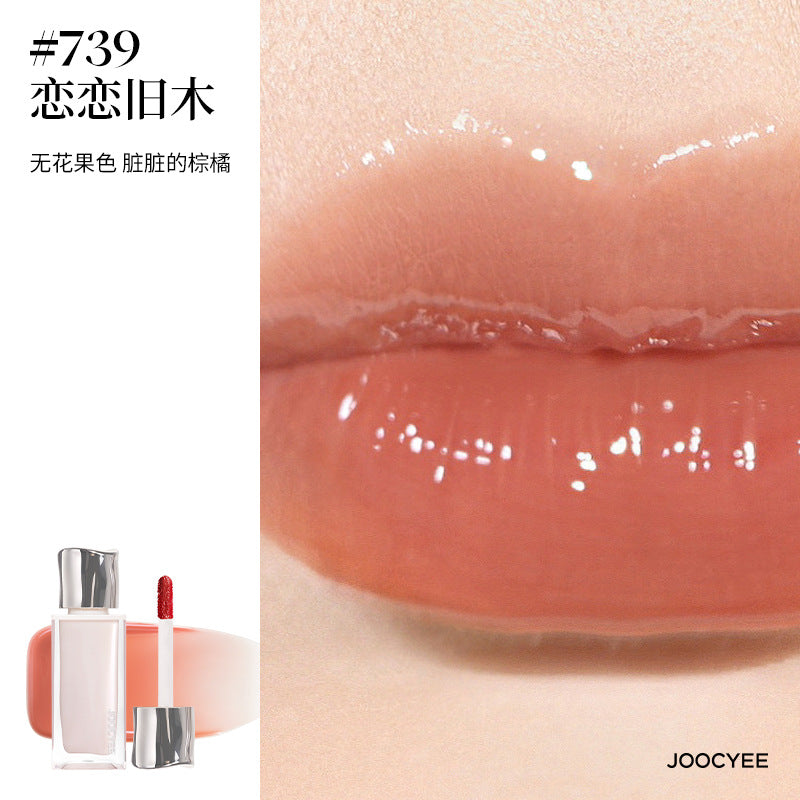 Joocyee Day Dreamer Series Lip Gloss 4g 酵色梦中人系列唇釉