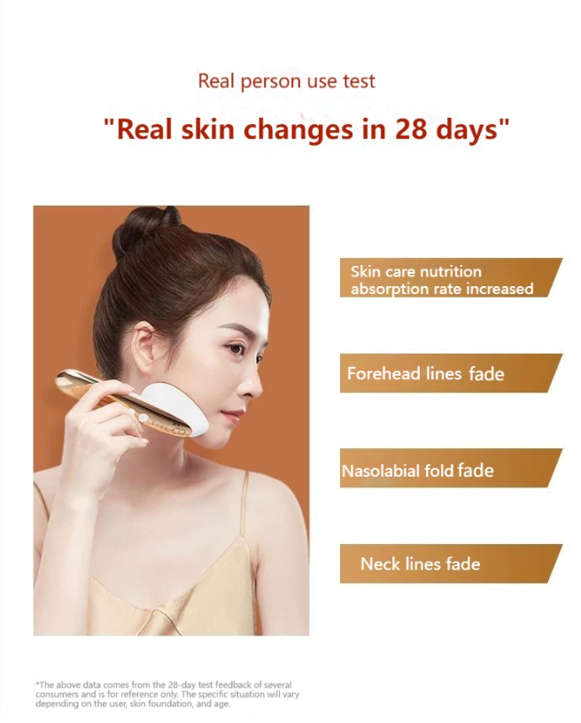 Konka RF Facial Beauty Device 康佳射频美容仪