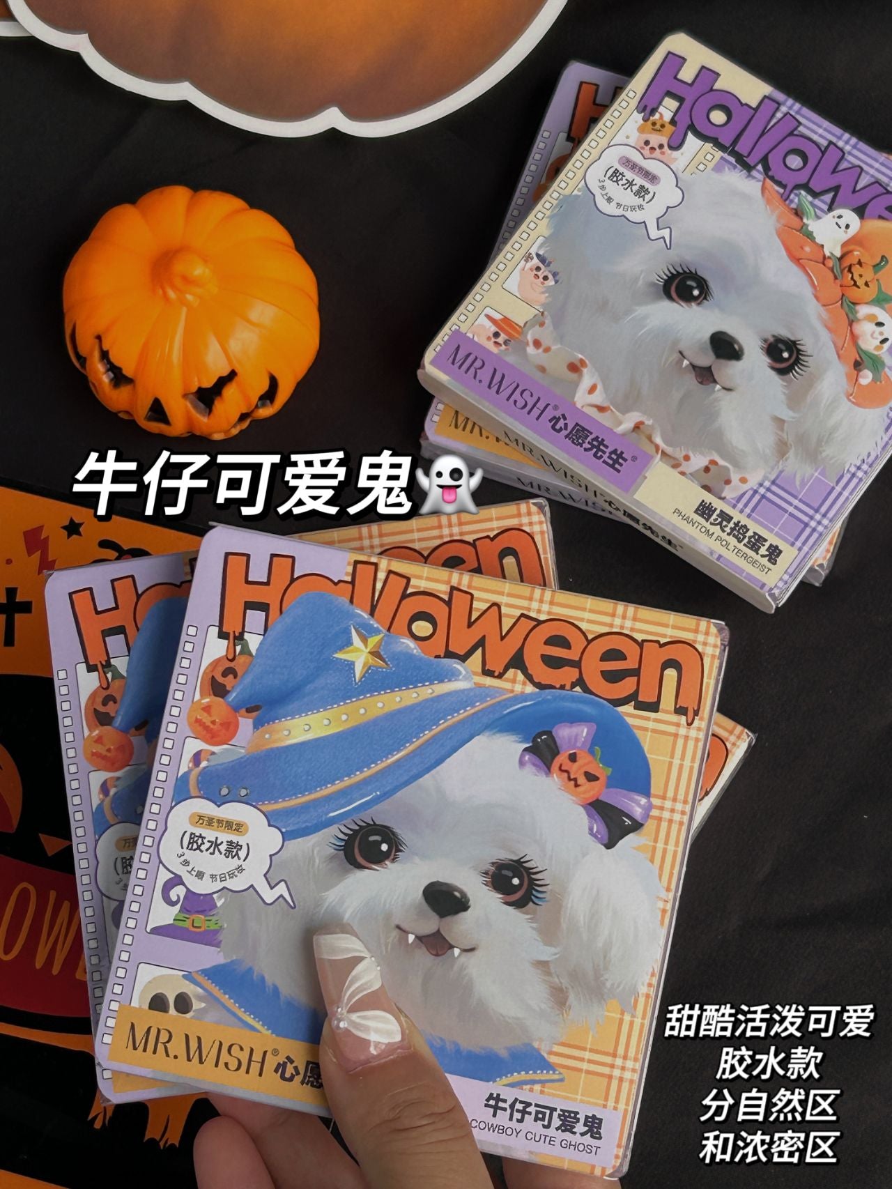 MR.WISH Halloween Puppy Limited Edition False Eyelashes 1 BOX 心愿先生万圣节修狗限定系列假睫毛