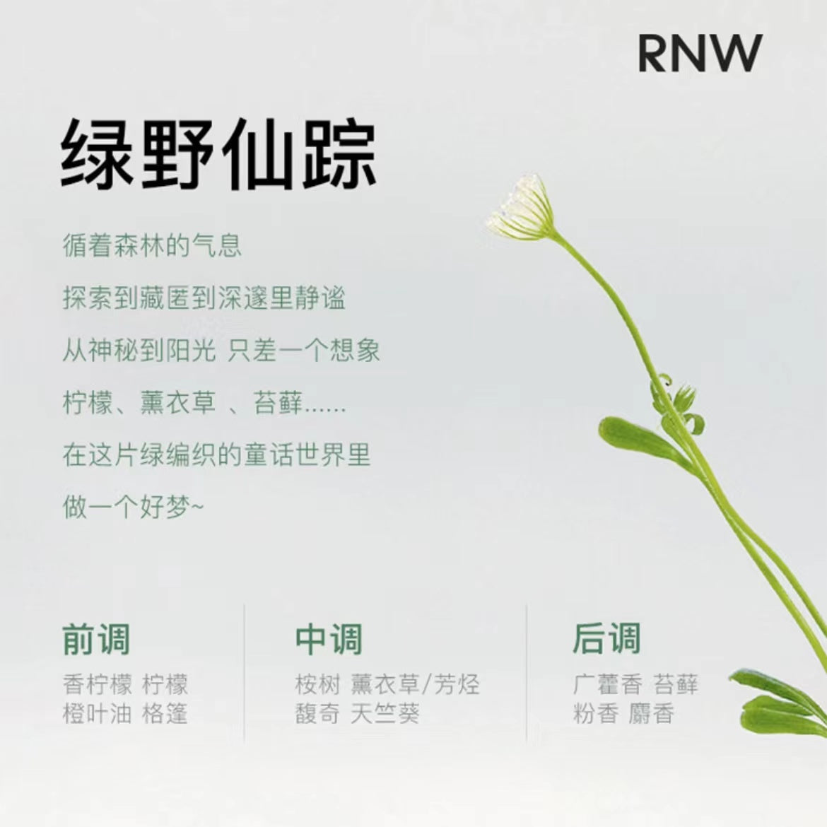 RNW Smooth Fragrance Body Scrub 210g 如薇顺滑香氛磨砂膏