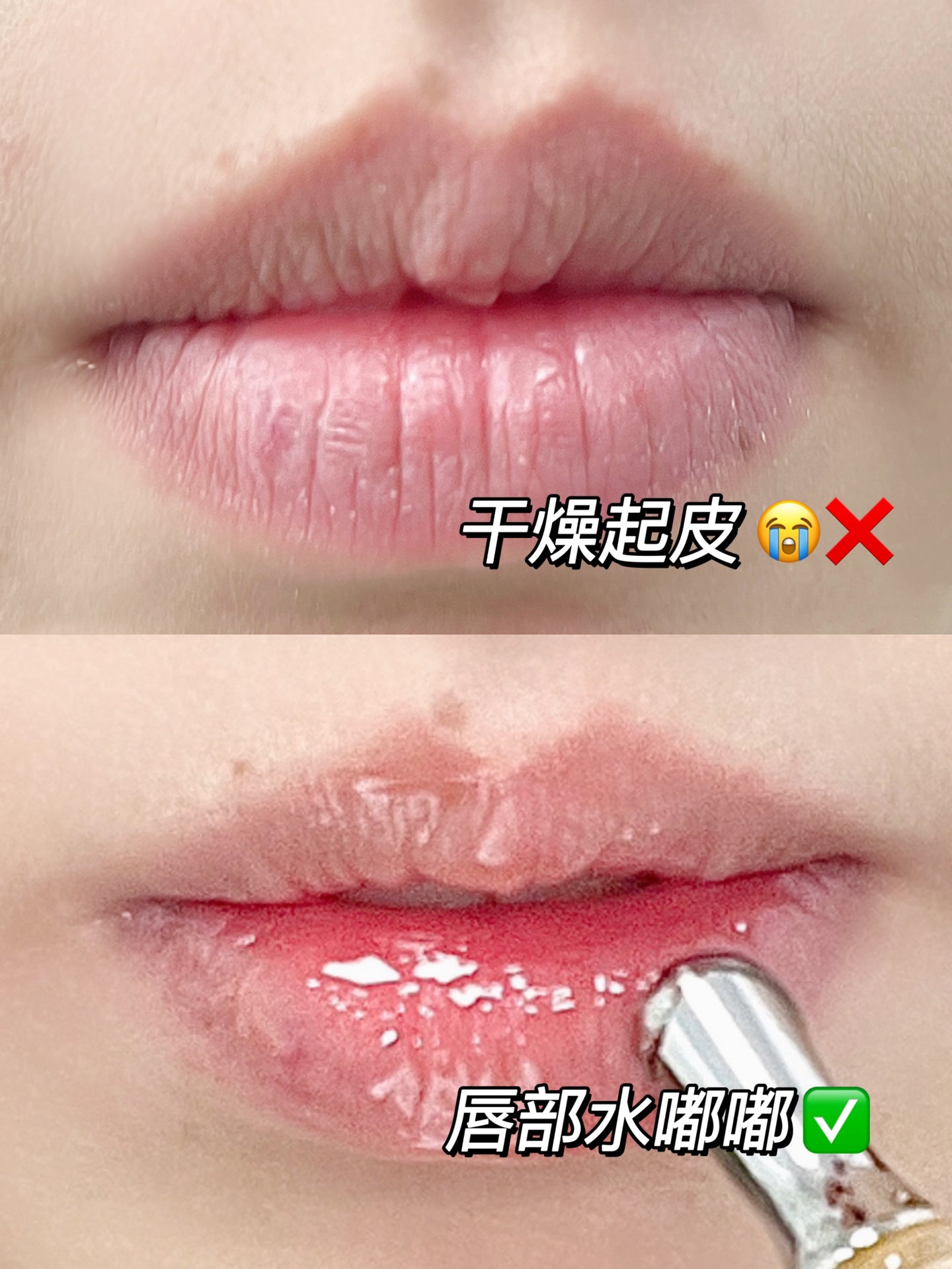 Tiktok/Douyin Hot TJE Lip Essence Oil 1.7g 【Tiktok抖音爆款】TJE唇部精华油