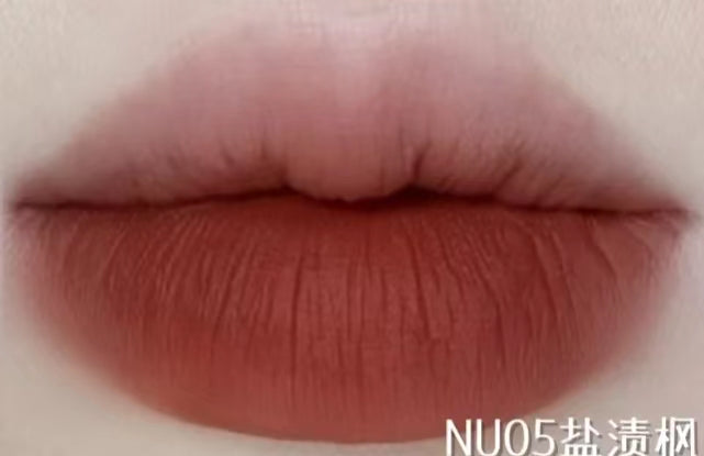 Veecci Matte Waterproof Long-Lasting Lipstick 唯资雾面哑光唇雾 2.5g