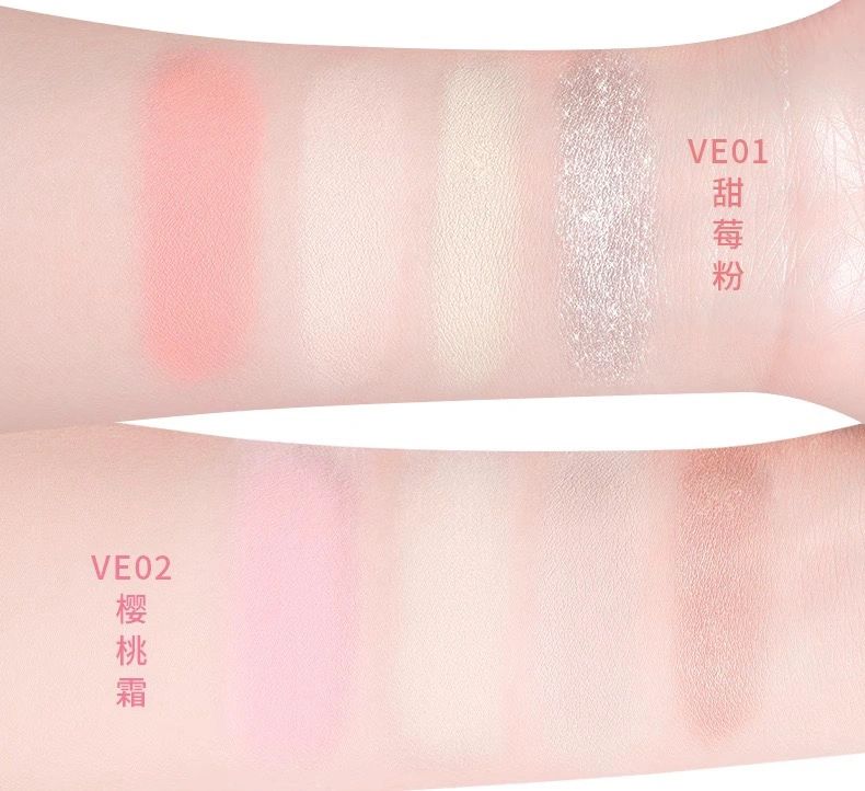 Veecci Multi-Purpose Facial Palette 9g 唯资多效面部综合盘