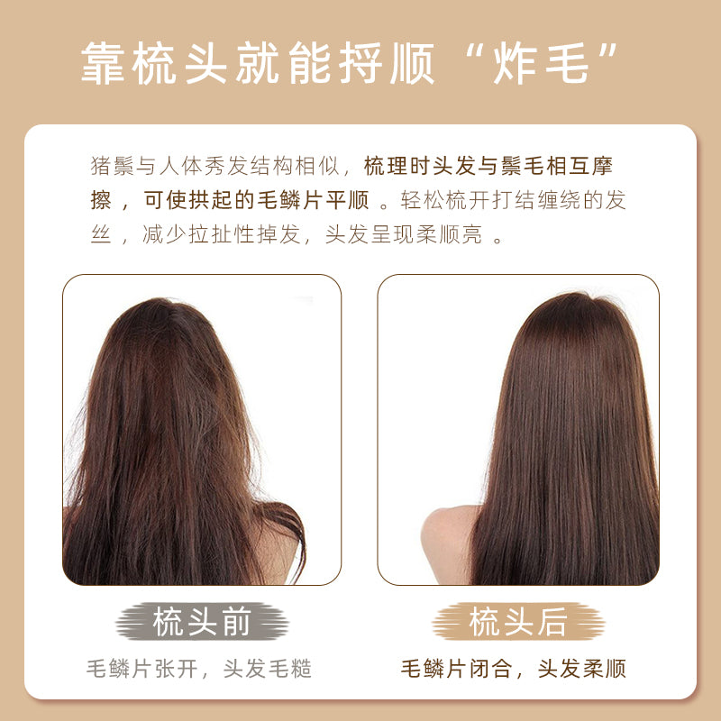 EVERBAB Air Cushion Comb 艾蓓拉猪鬃气垫顺发梳