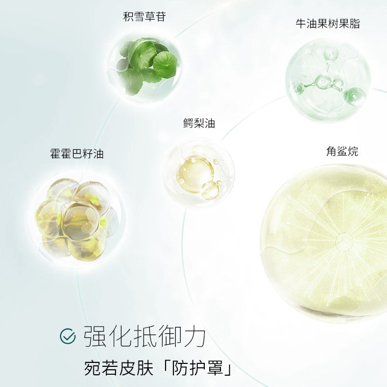 QUADHA Dynamic Crystal Lyophilization Mask 华熙生物 夸迪塑颜晶透冻干面膜 650mg*5